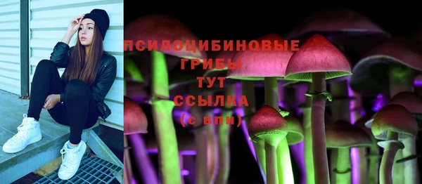 мдпв Куйбышев