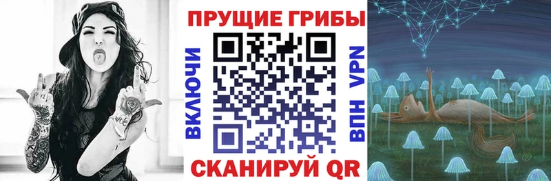 Галлюциногенные грибы Cubensis  Жирновск 